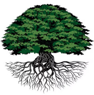 Baum